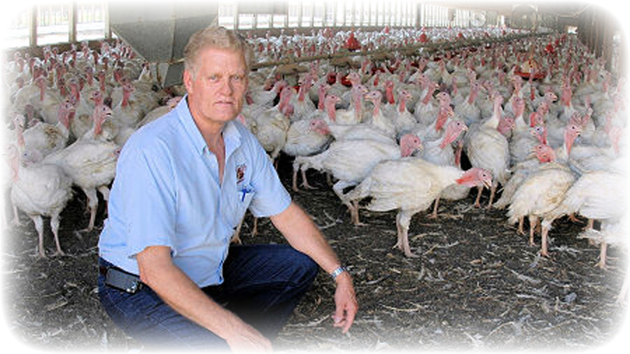 Harley Sietema started with just a single turkey farm.